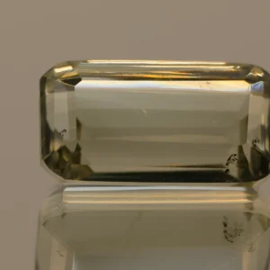 PRASIOLITE OCTAGON 18.7 CT