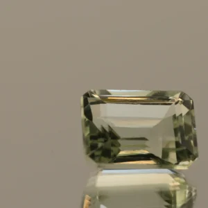 PRASIOLITE OCTAGON 6.57 CT